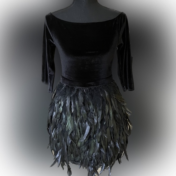 Feather & Velvet Dress - Picture 1 of 8